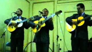 moliendo cafe trio dos generacionesmpg [upl. by Alansen]