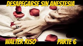 Desapegarse Sin Anestesia  Walter Riso Parte 6 [upl. by Riva]