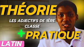 Latin Les ADJECTIFS de 1ère classe Théorie  Pratique [upl. by Airehs]