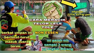 UMPAN VIRAL NON ESSEN TOLE quot TELOR LELE quot  CARA MEMBUAT  SETTINGAN  DAN TES LANGSUNG [upl. by Letch733]