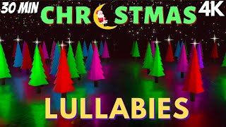 4kSensory Videos for Autism a Stroll Amongst Christmas Trees Calming Lullabies [upl. by Lednam]