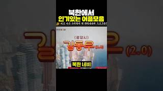 북한에서 인기 있는 어플 모음 [upl. by Rehportsirhc]