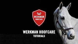 Werkman Hoofcare  Tutorial  Joop Wijnen  Werkman Hoof Grinder [upl. by Orofselet]