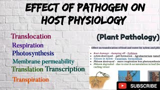 Plant pathology lecture 2 Effect of pathogens on host physiology notes Post penetration stage [upl. by Nifares]