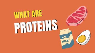 What Are Proteins  Biology Animation  AK Educational World [upl. by Christen234]