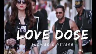 Love dose  Slowed and Reverb  Yo Yo Honey singh  Lofi [upl. by Edaw532]