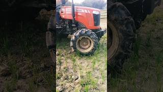 New Massey 254 Di Dynatrack 4WD Tractor  50 HP मे सबसे तगड़ा ट्रैक्टर [upl. by Lennon425]