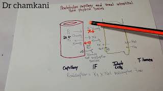 Reabsorption  Forces affecting Reabsorption rate  Hydrostatic pressure  Colloid osmotic pressure [upl. by Asyral]