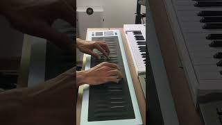 Roli Seaboard Rise 2 [upl. by Lj]