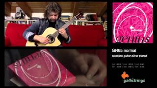 Nazzareno Zacconi plays Galli Strings GR65 [upl. by Chaker581]