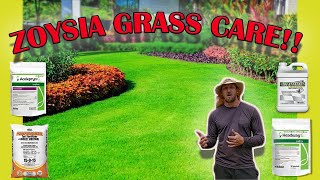 How To Care For Zoysia Grass Full Guide Fertilizer  Mowing  Watering  Pest  Fungus  Weeds [upl. by Javler629]