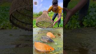 Unbelievable Polo Challenge Fishing Video  shorts shortsfeed funny polo fishing unique [upl. by Harihat]