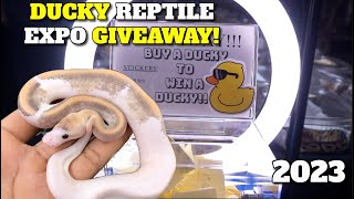 Beautiful Ball Python Giveaway WINNER ANNOUNCEMENT Reptile Expo CRBE [upl. by Ulrich]