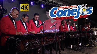 Internacionales Conejos  Concierto de Marimba Pura 4k [upl. by Tootsie]