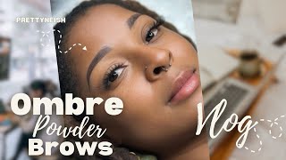 Vlog•Ombré Powder Brows• micro shading [upl. by Naillimixam]