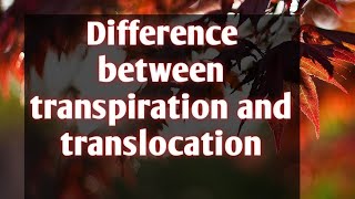 Difference between transpiration and translocation [upl. by Emelyne]