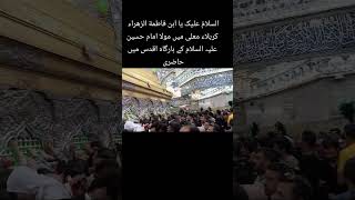 Karbala ki ziyadat kiyjeyainkarbala karbalastatus karbalastatus کربلای [upl. by Artemus]