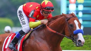 JUSTIFY TRIBUTE Triple Crown winning Immortal [upl. by Ayam]