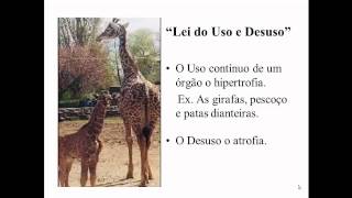 Las TEORÍAS EVOLUTIVAS explicadas Leclerc Lamarck Wallace Darwin otros🦒 [upl. by Konstantin21]