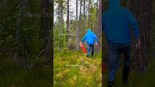 lingonberry berryfarm blueberry bilberry cranberry berries fruit harvesting [upl. by Ennayoj936]