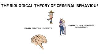 GCSE Psychology Criminal behaviour Biological theory [upl. by Janik]