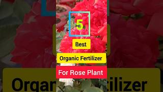 Five Best Organic Fertilizer For Rose Plant  rose fertilizer flower plants gardening [upl. by Short475]