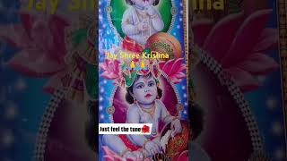 Jaya Shree krishna 🙏💐 flute lordkrishnaflutemusic TirthaRaj Vlogs shortvideo trending [upl. by Alexandr]