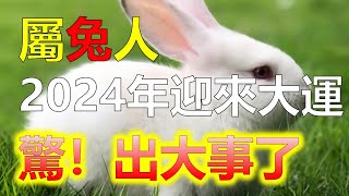 生肖兔在哪年迎來大運？2024年是否為兔人換運之年，2024年即將到來，許多人對於自己的命運變遷心懷期待。而對於生肖兔的人來說，2024年被認為是兔人換運之年。那麼，生肖兔在哪年迎來大運呢？十二生肖 [upl. by Seleta891]