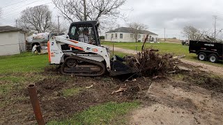 Bobcat T450 vs Tree [upl. by Acul]