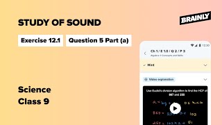 The speed of sound in air at 0 °C is 332 ms If it increas Class 9 Science Ex 121 Q5 P a [upl. by Brok]