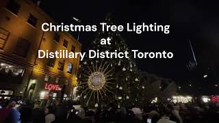 Christmas Tree Lighting At Distillery District Toronto 2024 [upl. by Alleul]