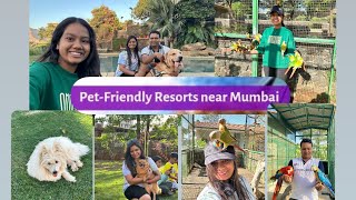 Manas ResortIgatpuri  petting Zoo resort  pet friendly  Near Mumbai [upl. by Noseyt]