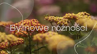 Bylinowe różności  lipiec [upl. by Nitsew203]