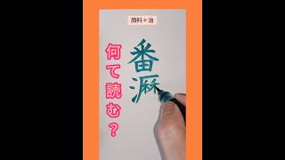 【カタカナ】難読クイズ♪読めたら天才！ calligraphy 美文字 漢検 japaneseculture 習字 yorushika 書道 [upl. by Nedyaj386]