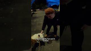 Interactions with my dog youtubeshorts shorts viral pet husky petsofinstagram fyp [upl. by Drawoh808]