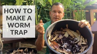 How to Make a Worm Trap to Collect Composting Worms from Your Local Environment [upl. by Galateah]