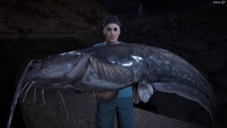 CATCHING A WELS CATFISH IN SPAIN IN THE ANGLER [upl. by Alyahs]