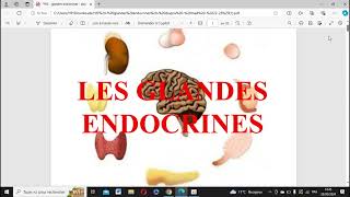 les épithulims glandulairesles glandes endocrines cour2 partie2 1er médecine [upl. by Alyal]