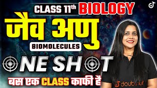 जैवअणु ONE SHOT Class 11 Biology ➡️ Biomolecules One Shot in Hindi  JaivAnu  Vijaita Mam [upl. by Aitra]