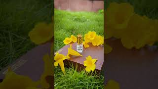 Explore Attar Discovery Pack  Gulzaar Premium Fragrance Home [upl. by Elag]