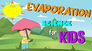 What is Evaporation  Science for Kids [upl. by Atileda141]