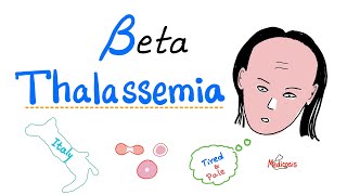 Beta Thalassemia  Causes and Types  minor Major amp Intermedia  Hematology [upl. by Ltsyrk81]