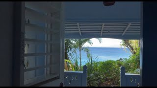 A week in Jamaica December 2021 [upl. by Nnaycart]