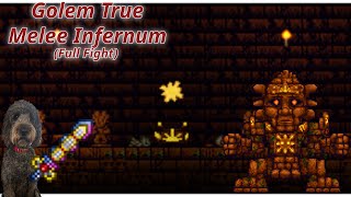 Golem True Melee Calamity Infernum full fight [upl. by Akiria159]