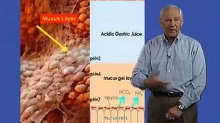 Stanley Falkow Stanford University Part 2 Helicobacter pylori and Gastric Cancer [upl. by Gayler]