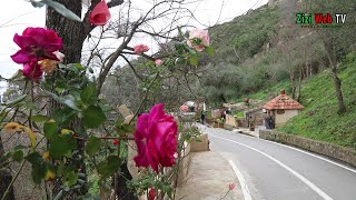 Magnifique Balade Au Village Le Plus Propre à TiziOuzou … Village quotAzraquot … [upl. by Anahir]