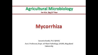 Mycorrhiza  Difference between endo and ectomycorrhiza  Benefits to plants  Symbiosis [upl. by Dnalloh998]