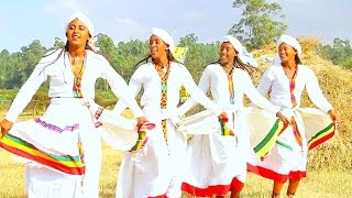 Ashenafi Legesse  Goh Sayked  New Ethiopian Music 2016 Official Video [upl. by Caralie21]