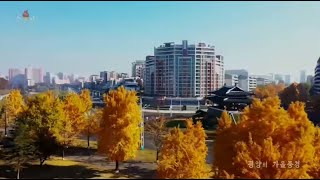 Autumn in Pyongyang  November 2024 Korean [upl. by Sidon]