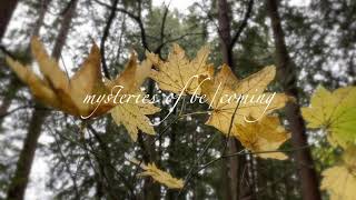 Autumn Moments IV Unwriting [upl. by Avrenim]